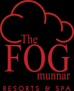 Fog